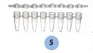 PCR Strips, Bubble Caps, 8 Wells, Natural, 0.2mL