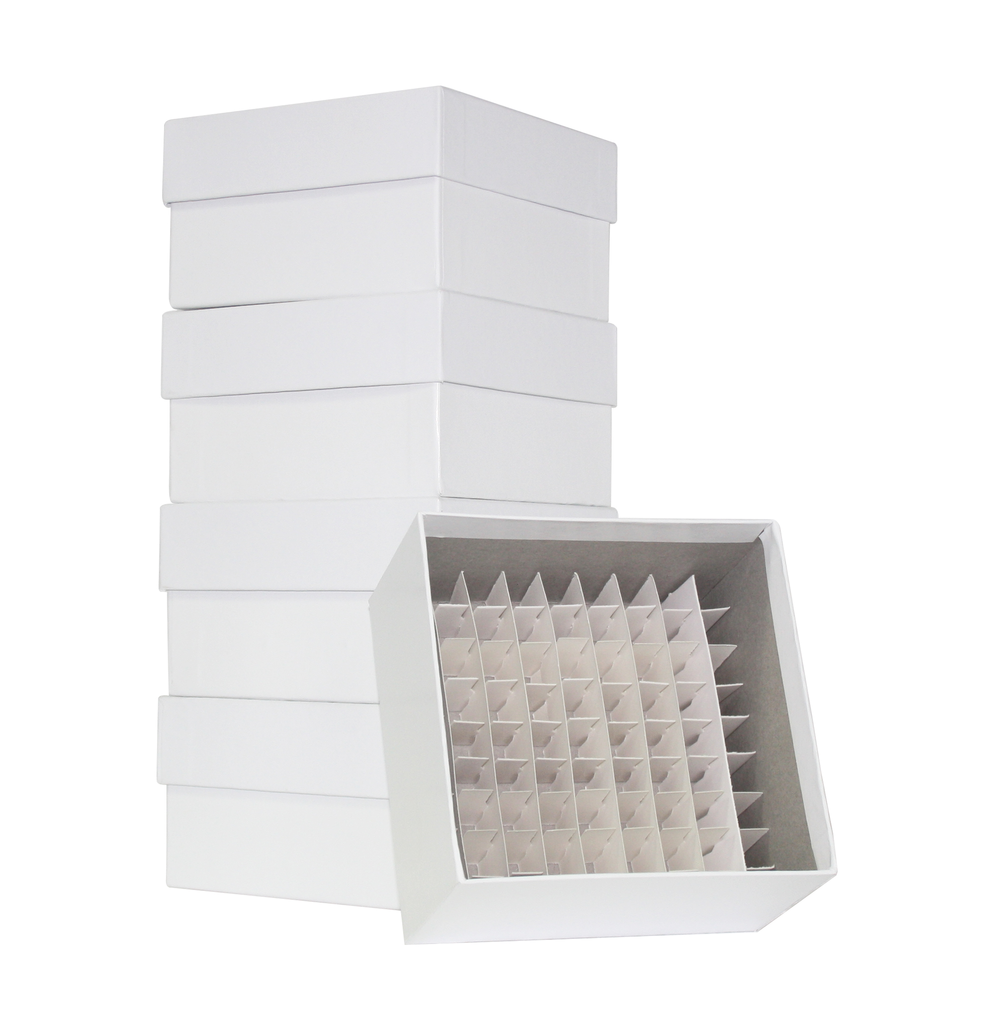 Cardboard Freezer Storage Box, 3 Inch, 81 place/ p